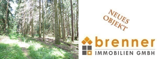 Neu im Verkauf: Waldflächen Gemarkung Fichtenau